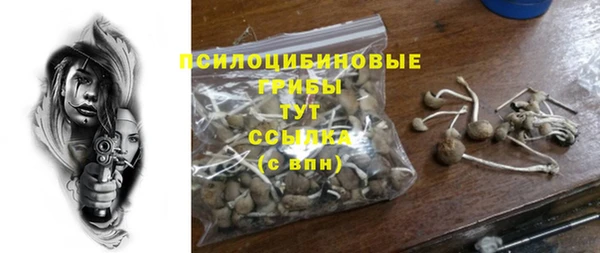 прущие грибы Абдулино