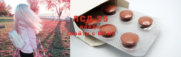 прущие грибы Абдулино