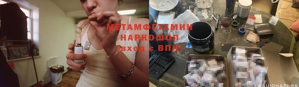 прущие грибы Абдулино