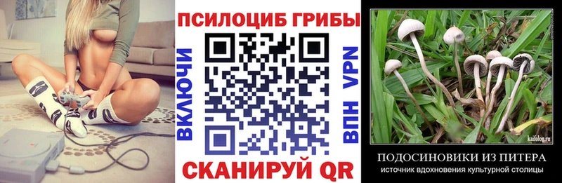 наркотики  Мамадыш  shop какой сайт  Псилоцибиновые грибы мухоморы 